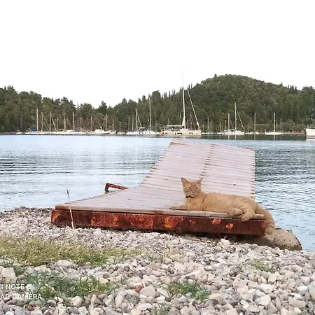 Apartamento A2- Alexandri *