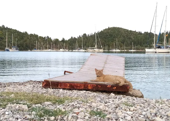 Apartamento A2- Alexandri *