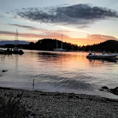 A2- Alexandri 니드리