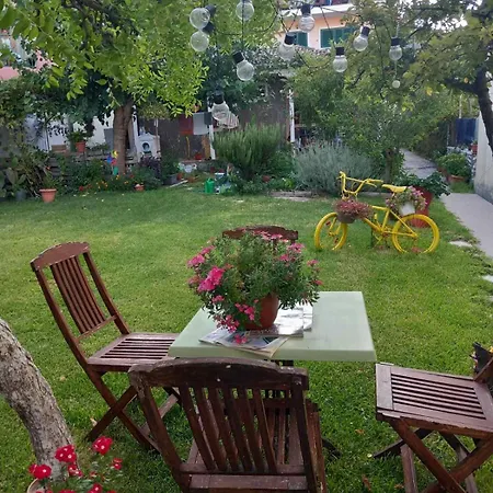 A2- Alexandri 니드리